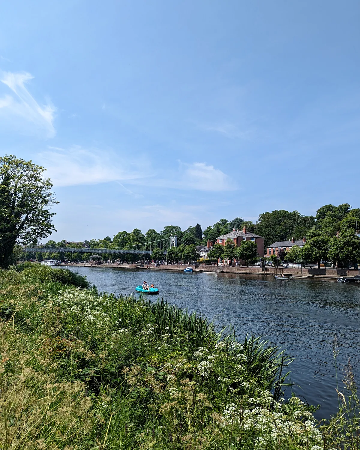The River Dee from the Meadows, with wild flowers on the bank