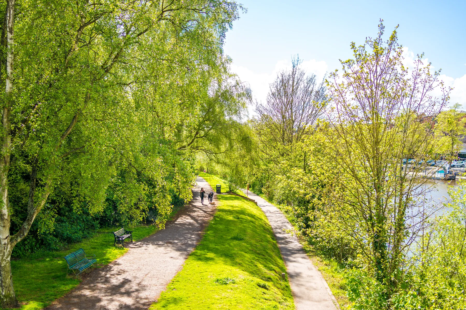 A wide grassy path beside the River Dee on the Meadows, with trees in spring leaf