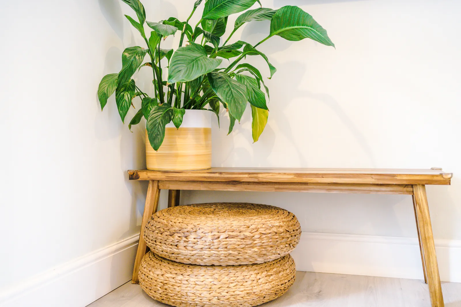 A plant on a wooden bench above two woven poufs in a calm corner of the living room