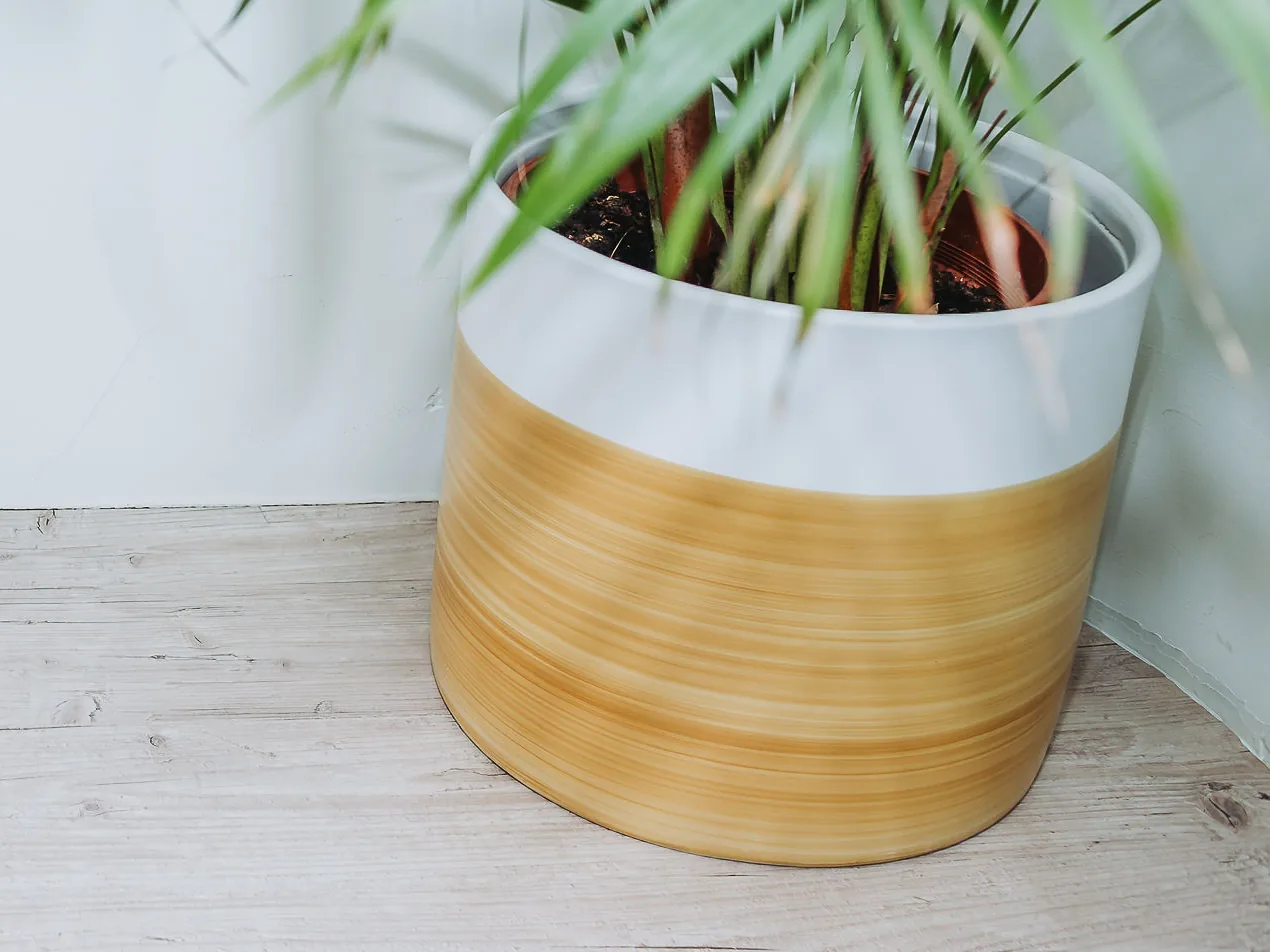 Bamboo planter and palm on the pale wooden floor at Enjoy the Pause