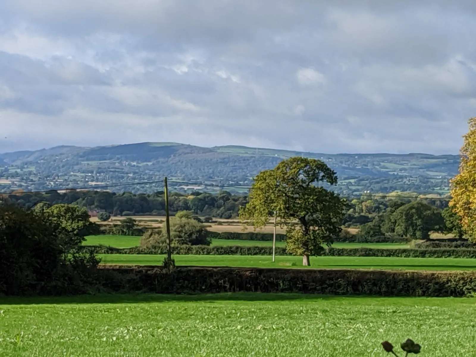 Green fields with the Snowdonia mountains on the horizon